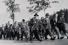 Ozbrojený freikorps pochoduje. jeho úkolem bylo vyvolávat neklid v pohraničí, napadat orgány čs. moci a terorizovat všechny, kdo nepodlehli nacistické ideologii.