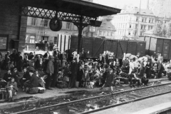 Nejčastějším prostředkem útěku z pohraničí byl vlak. Stanice ve výchozích místech byli přeplněny uprchlíky, kteří čekali na vlak. V cílových stanicích byla nádraží zase přeplněna lidmi, kteří sice utekli před nejhorším, ale často neměli kam jít a neměli ani prostředky na uspokojení základních potřeb. Pomáhaly jim různé charitativní organizace jako například Čs. červený kříž, Sokol, Skaut,dělnické spolky apod.